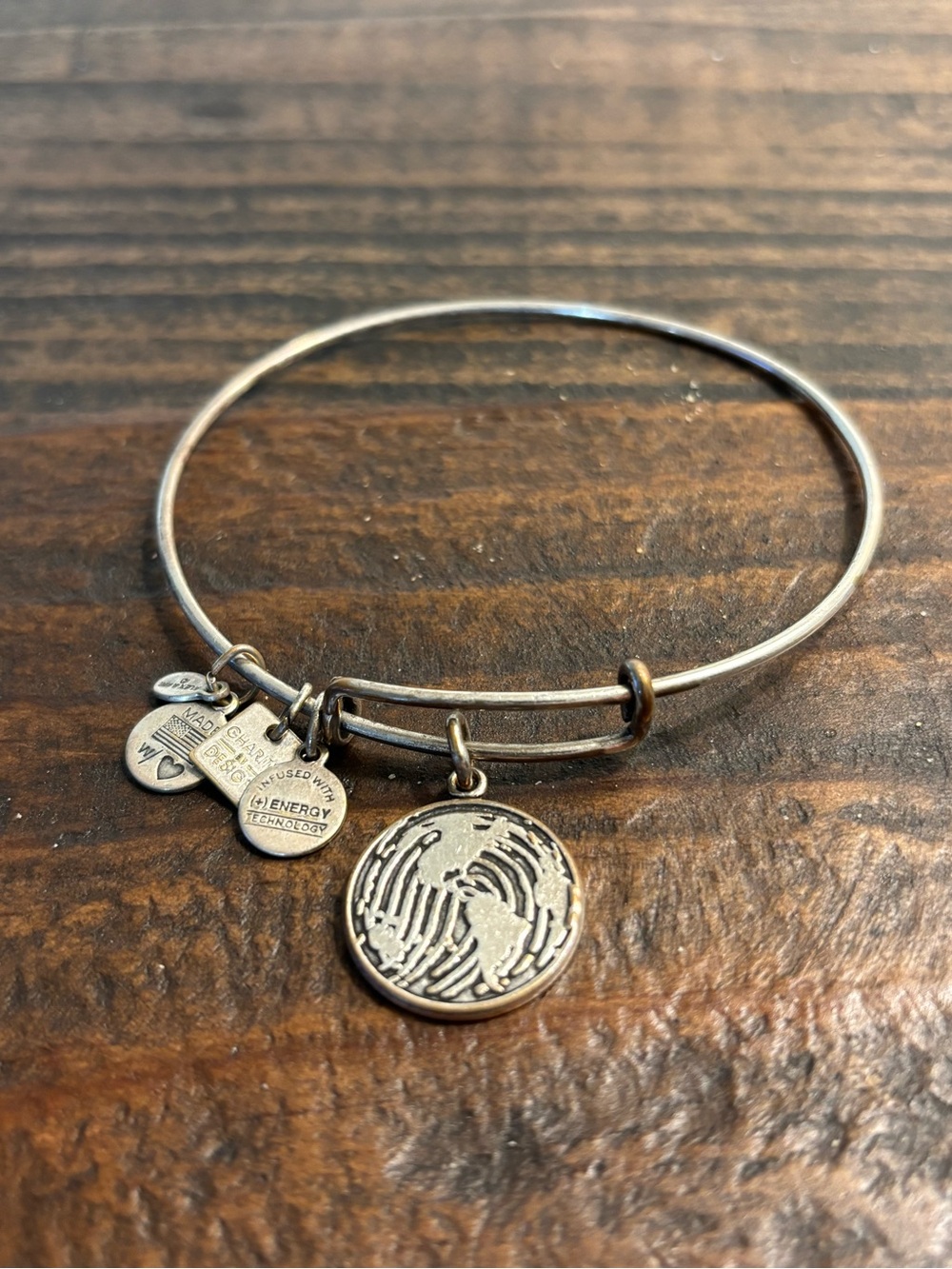 Alex and Ani Earth Charity Charm Bracelet